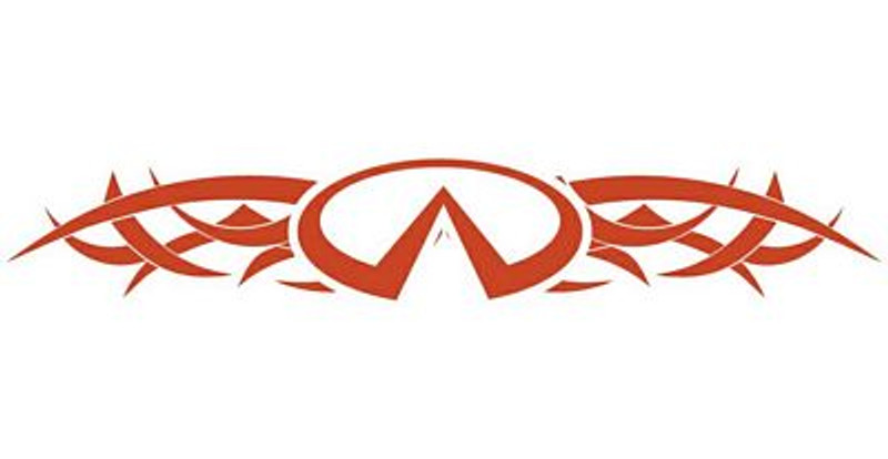 Infinity Tribal Back Window Graphic