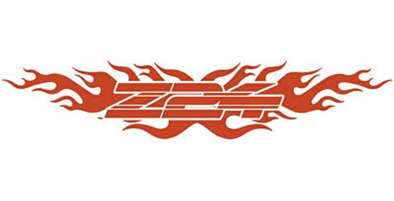Z24 Flames Back Window Graphic
