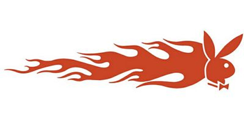 Playboy Flames Mirrored Pair