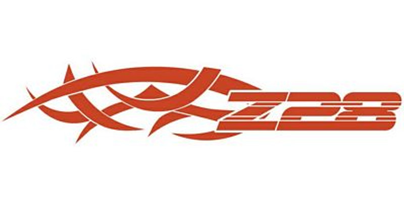 Z28 Tribal Mirrored Pair