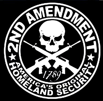 Homeland Security Diecut Decal