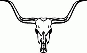 Indian Cow Skull Decals 23