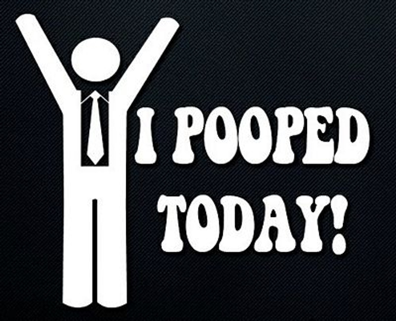 i pooped today car window decal