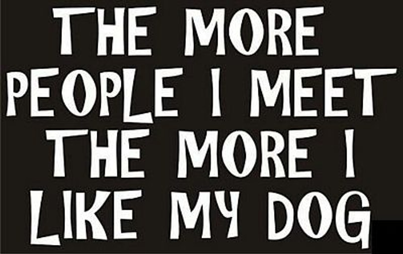 the more people i meet die cut decal