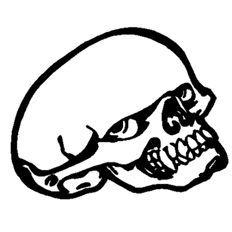 Skull car sticker 872