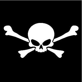 Skull Decal Sticker 3964