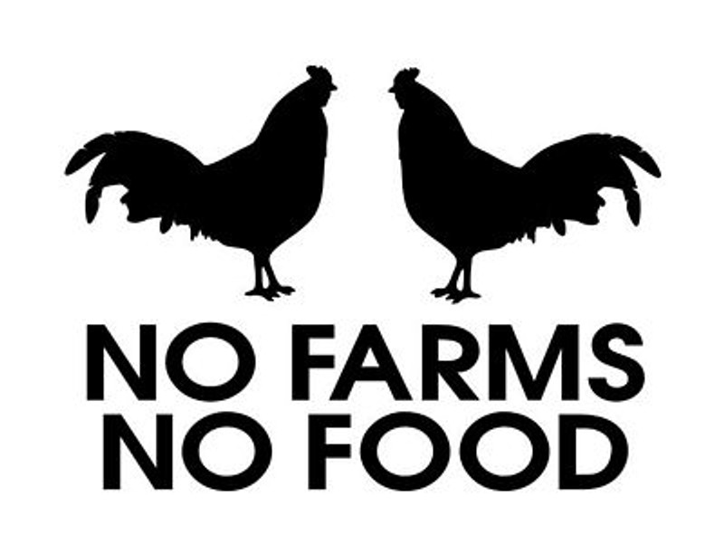 no farms no food die cut decal CHICKENS