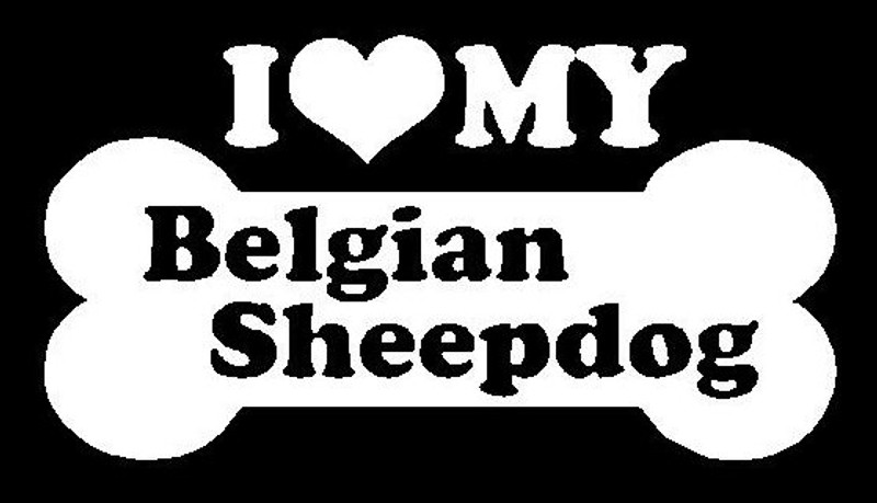 I Love My Belgian Sheepdog 18