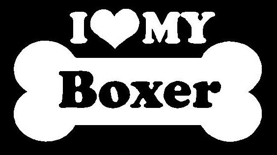 I Love My Boxer 29