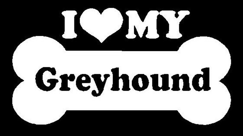 I Love My Greyhound 63