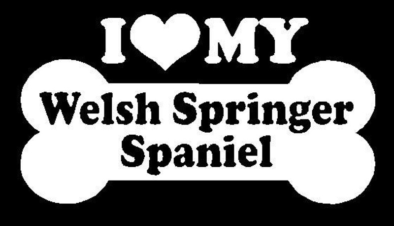 I Love My Welsh Springer Spaniel 105