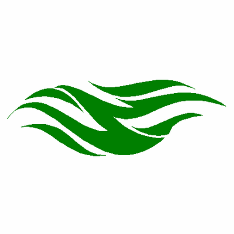 Flame Decal Designs 073