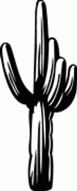 Cactus Decal Cactus Decal