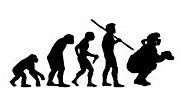 Evolution Sport Stickers SOFTBALL CATCHER