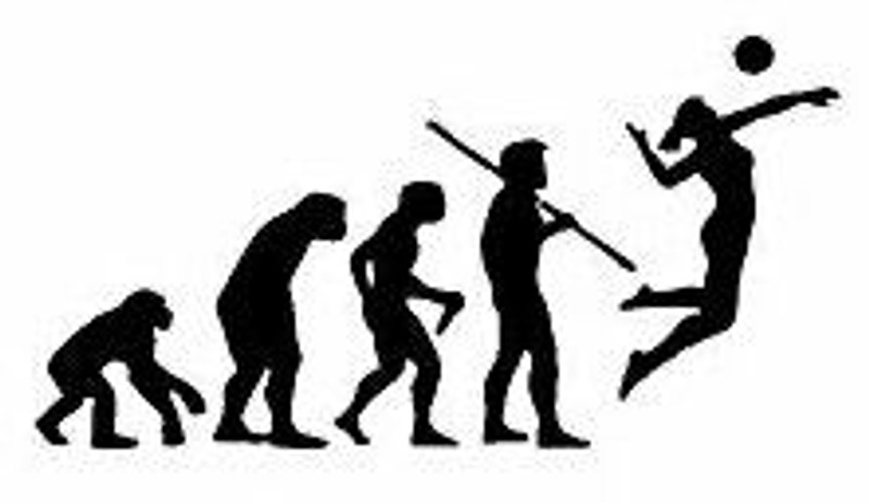 Evolution Sport Stickers VOLLYBALL WOMANS