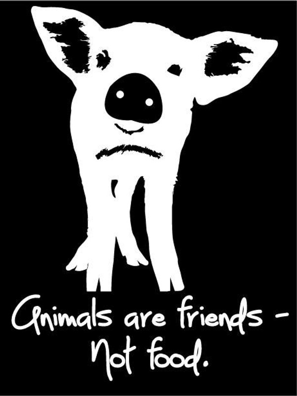 ANIMALS ARE FIRENDS NOT FOOD STICKER