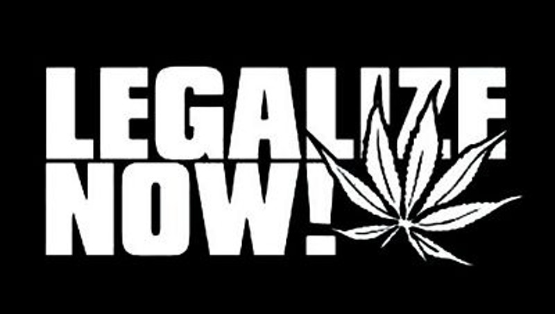 Legalize Now Cannabis Sticker