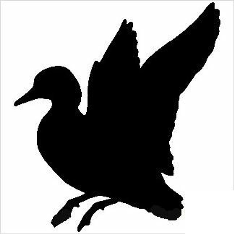 Duck Landing 2 Car Window Decal