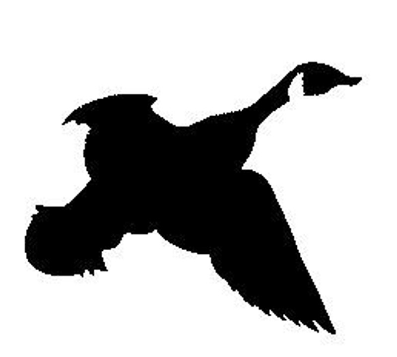 Flying Canada Goose Adhesive Decal 1619