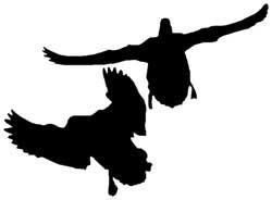 Flying Mallard Decal 1620