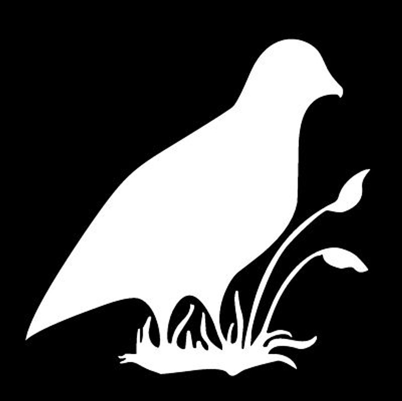 Hunting Duck Diecut QUAIL Decal 3