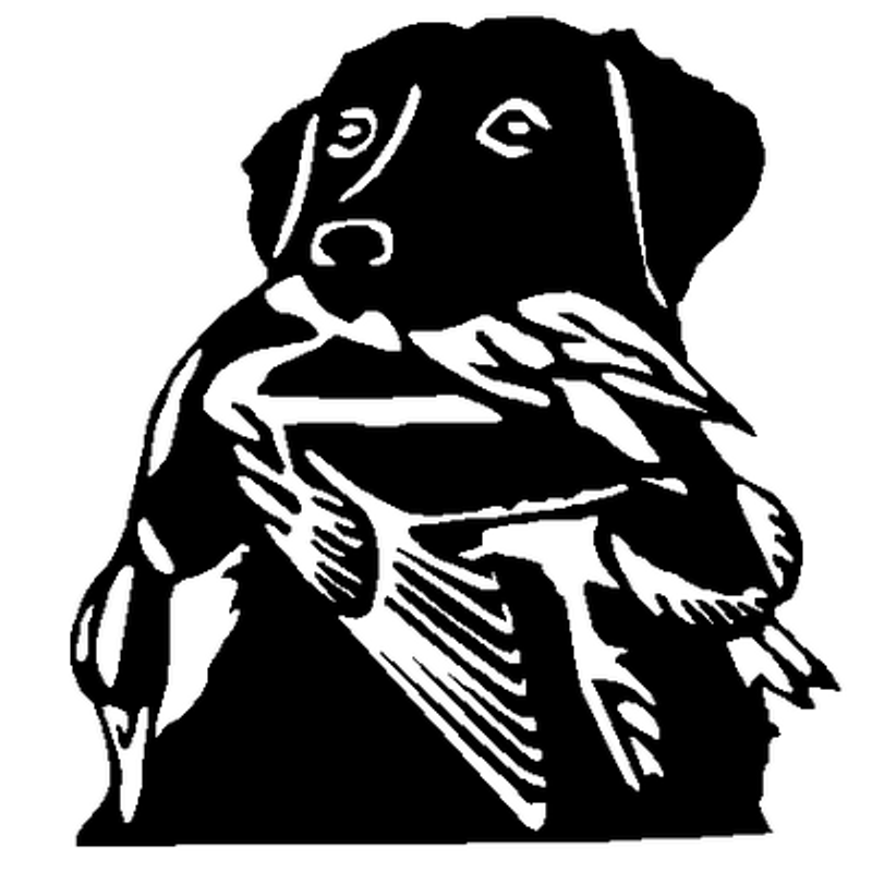 Lab & Duck Decal 984