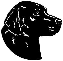 Lab Head Vinyl Decal 1625