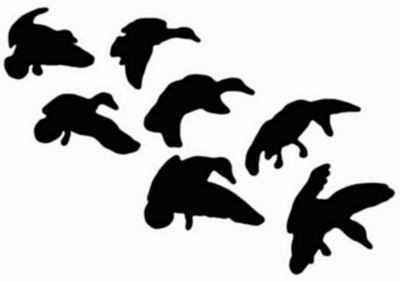 Mallard String Outdoor Decal 1628