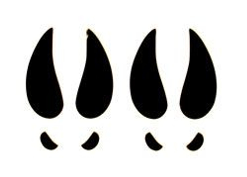 Deer Tracks Decal 1610