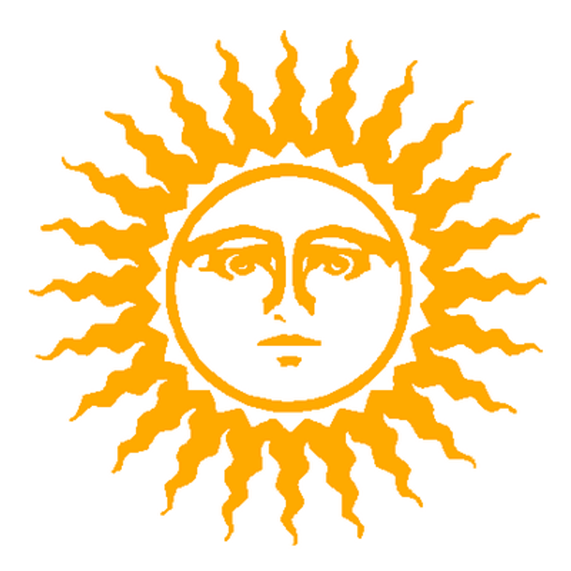 Sunshine vinyl sticker 213