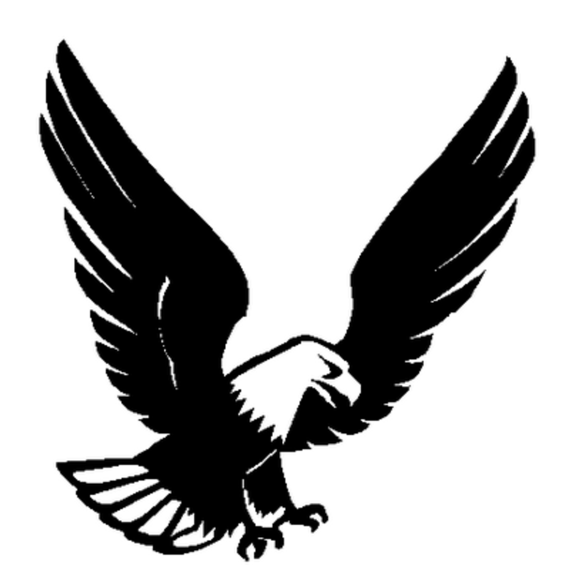 Bald Eagle decal 570