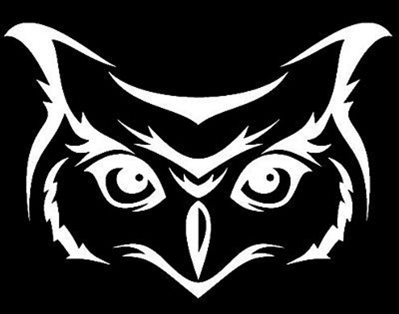 owl face car window decal