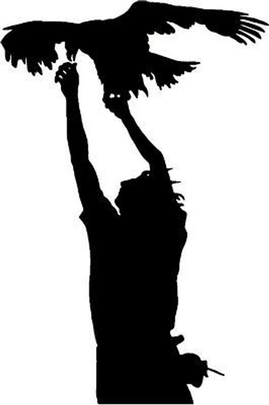 Raptor Bird Birds Animal Animals Vinyl Decal Sticker