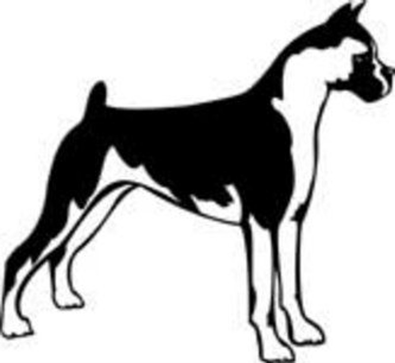 Boxer Dog Decal 15e