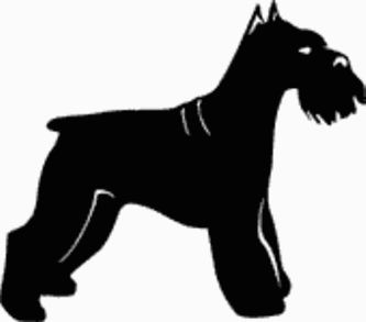 Schnauzer Dog Decal 15v