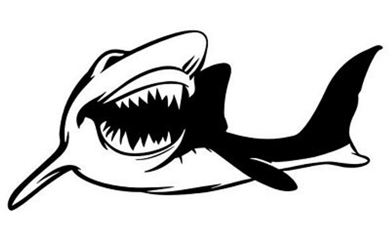 Shark Sticker