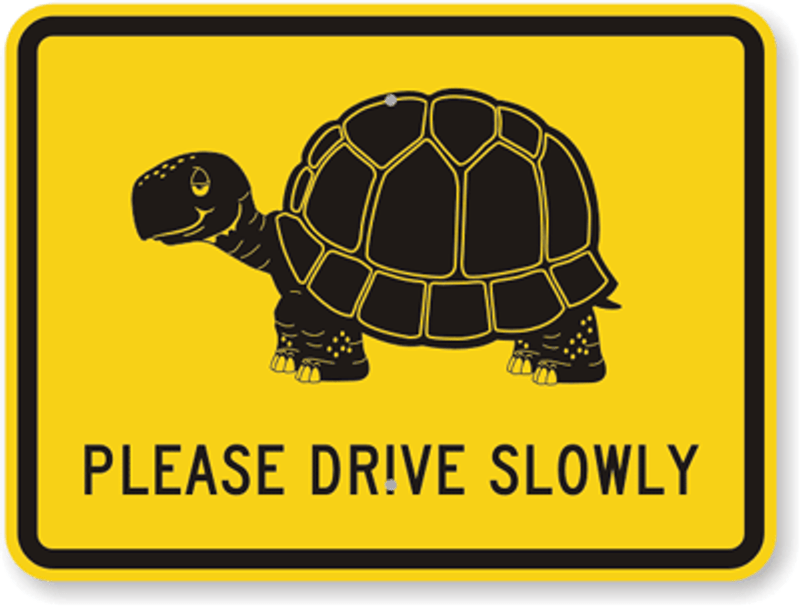 Please Drive Slowly Sign