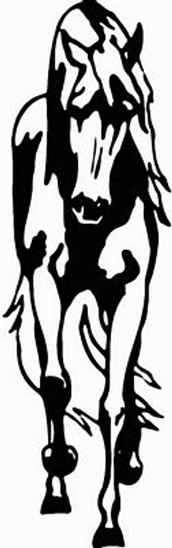 Horses Horse Animal Vinyl Car or WALL Decal Stickers 12