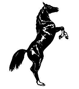 Vinyl Horse Stickers Wall Decals 14