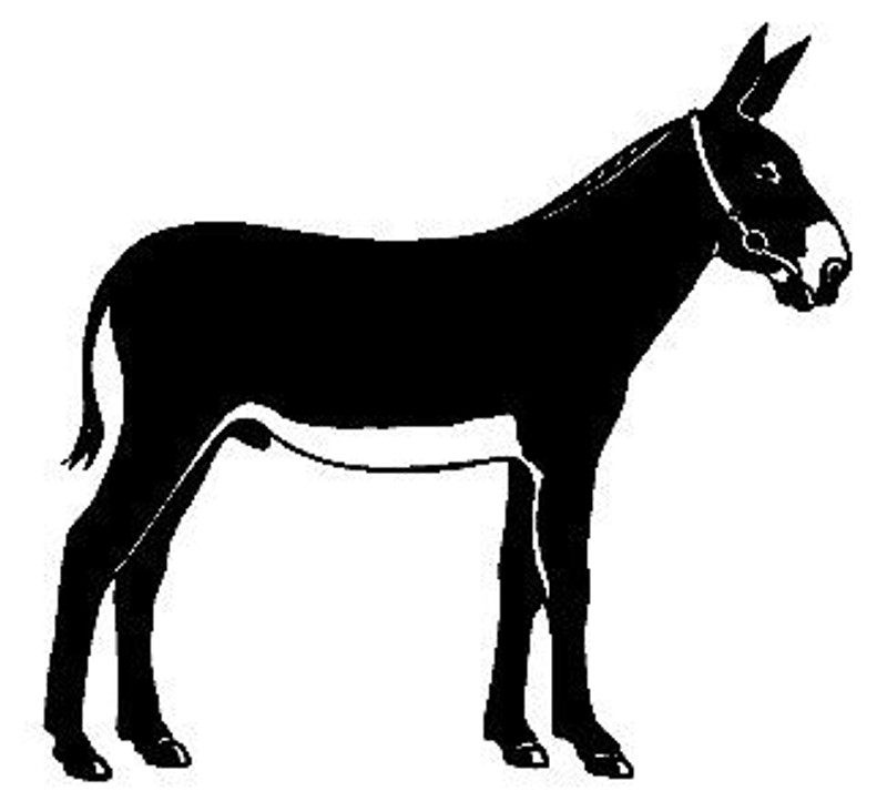 Vinyl Horse Stickers Wall Decals 18