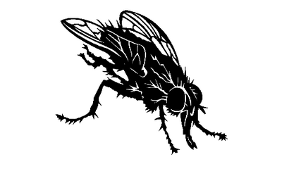 Fly decal 096