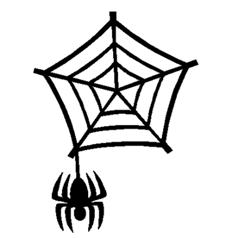 Spider Web decal 519