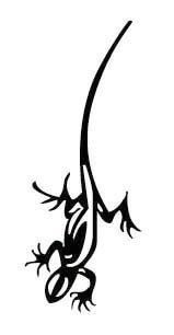 Tribal Lizzard Sticker
