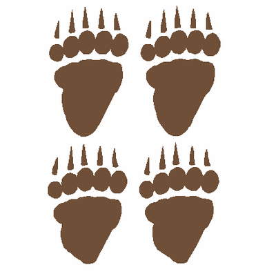 Bear Print decals 822f