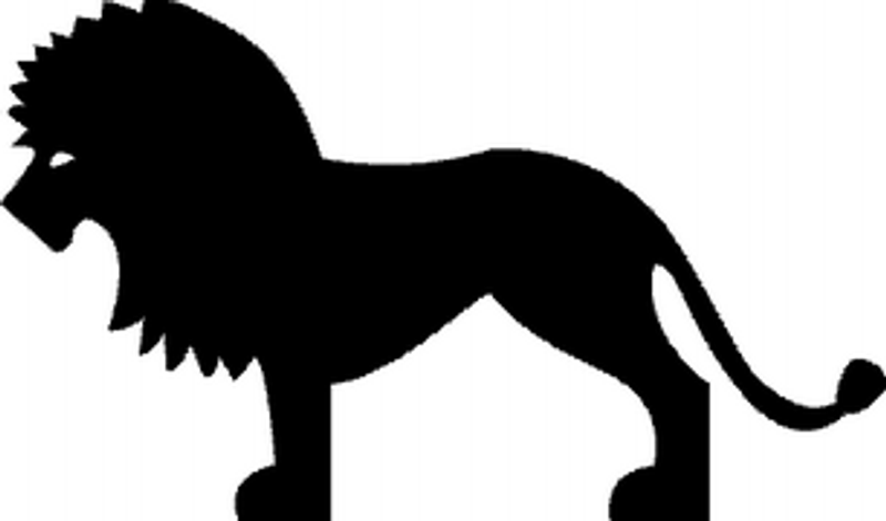 Lion Decals  24