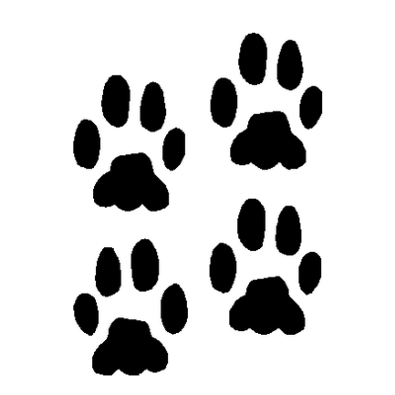 Paws Animal Tracks decal 518