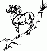 Ram Animal Decals 14