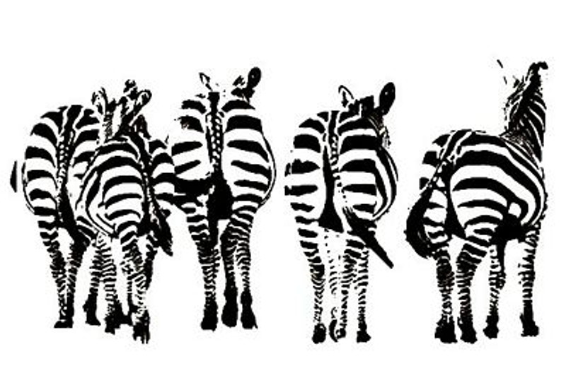 African Animal Decal 22