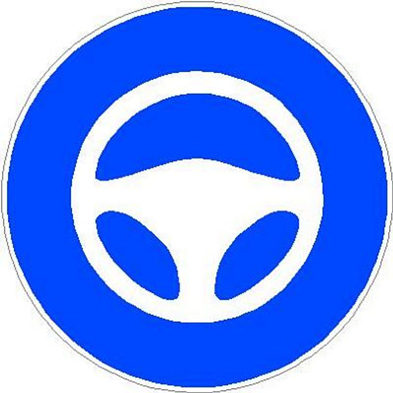 Tesla Autopilot Engaged Sticker