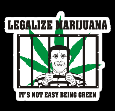 Not easy being green sticker